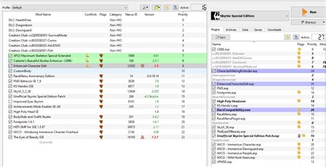 TOtal character makeover conflicts with CBBE. : r/skyrimmods.